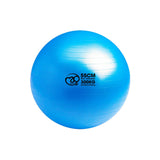 300kg Anti-Burst Swiss Ball - 55cm