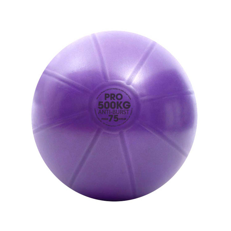 Studio Pro 500kg Swiss Ball & Pump - 75cm